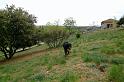 DSCF2858